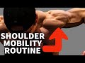 AVOID SHOULDER PAIN! | With This Shoulder Stability Routine
