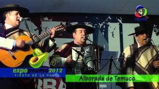preview picture of video 'EXPO PEUMO 2012 - Raíces del Patagual - Semillero de Mostazal - Alborada de Temuco - Sauzal'