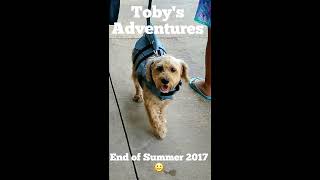 Toby's End of Summer Adventures - 2017