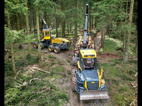🌲4K| WFW Ecolog 688F & Ponsse Buffalo • Harvester & Forwarder • LoggingVideo • Skilled Driver🌲