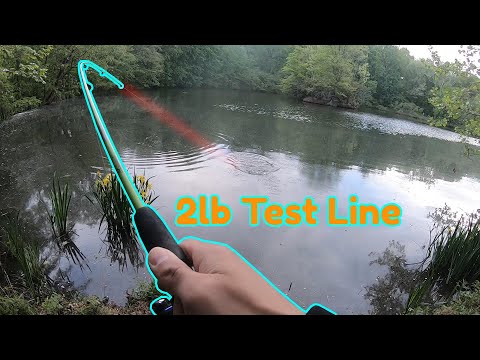 Switching to 2LB LINE! (Quick Pond Fishing)