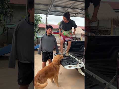 ไผละมาดึง😂😩 #funny #bamboo1 #comedy #memes #hahaha #ขำๆ #คลายเครียด #ตลกฮาฮา