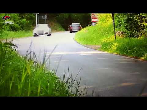 Operazione anti droga nei boschi tra Vergiate e Sesto