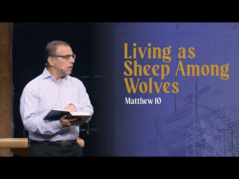 Matthew | Living as Sheep Among Wolves