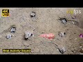 Cat TV for cats to watch | mice digging burrows, jumping and chasing each other to play 4k UHD