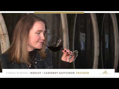 Merlot & Cabernet Sauvignon Rotwein trocken - Junge Winzer