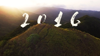 My Year 2016