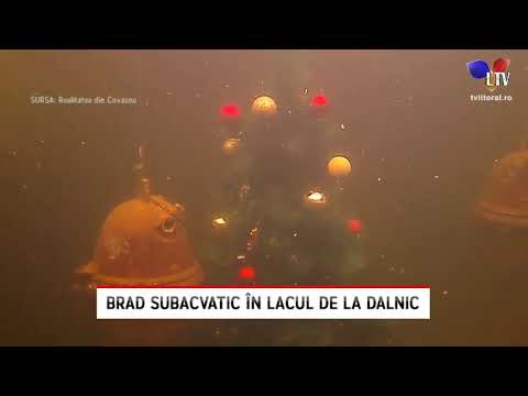 Brad subacvatic în lacul de la Dalnic - Litoral TV