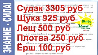 Рыбалка закон в волгоградской области