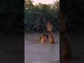 Quinn Drowns In Pool Of Quicksand