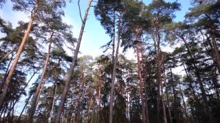 preview picture of video 'Kulautuvos miško parkas/4K Sony Xperia Z3 compact demo'