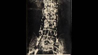 Recycled Body Programm - Voice of Dawn