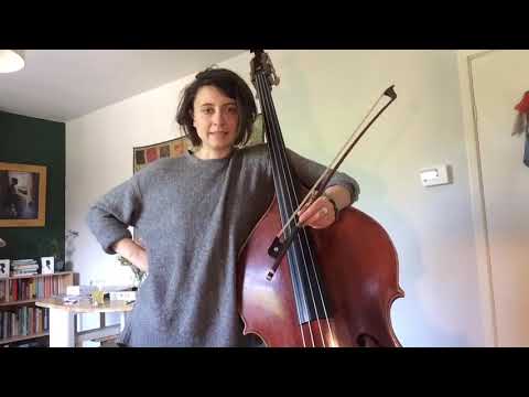 How to sound like a seagull on the double bass