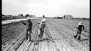 Chapter 11 Grapes of Wrath (Mrs. Wilkerson)