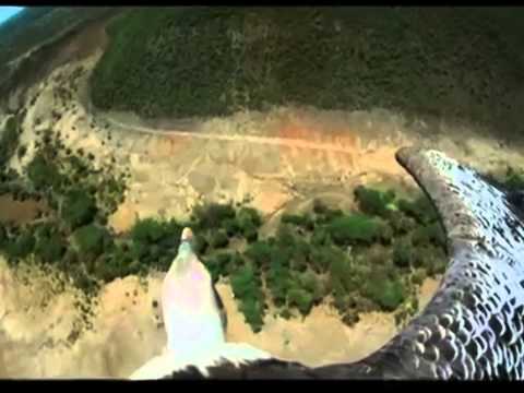 YENİ HAYAT- ESMA SENFONİSİ (DERVİŞANE)