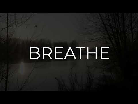 SUNSET ON THE RIVER   ASMR   real word -  no ai  - Tramonto sul fiume Po - Water Relax Nature Bird