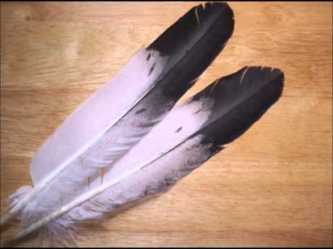 December Wind-  Share my Blanket(Akwesasne/Mohawk)