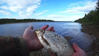 Рыбалка на вычегде и ее притоках