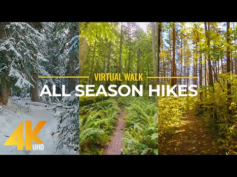 4K Virtual Forest Walk in Summer, Autumn and Winter - All Season Hikes - Episode #1