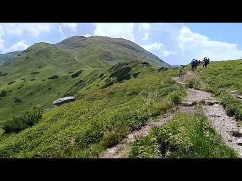 Gargaló nyereg, Radnai havasok nemzeti park. Parcul national muntii Rodnei. 11.07.2024
