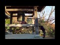 Kitaro - Dancing Flower