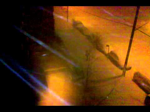 Snow storm 01 26 2011