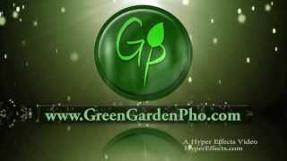 preview picture of video 'Green Garden Pho | Silverdale Restaurant'