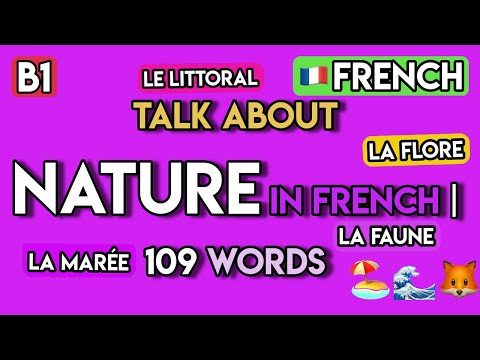 Master 110+ French Words for Nature & Environment 🌳 | B1 Vocabulary Builder