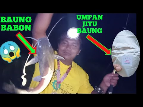 UMPAN JITU BAUNG MONSTER || KUCUR