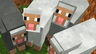this happens when i touch sheep in Minecraft
