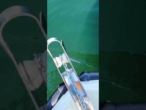 Lewmar 700 Electric Windlass Delta Anchor