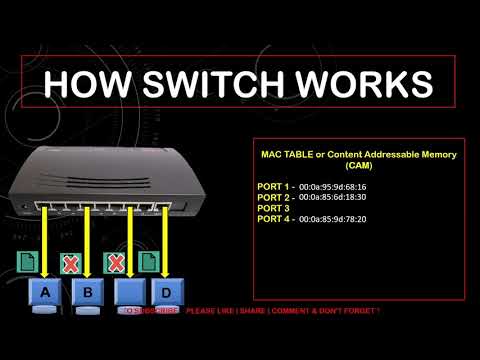 What is Network Switch || Everything about Switches || Switch Working || Full detail in Hindi