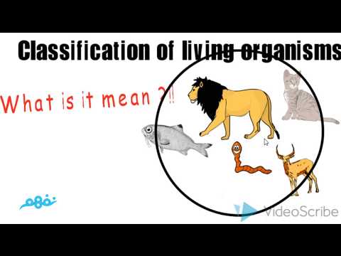 classification of living organisms - الأحياء لغات - للصف الأول الثانوي - نفهم