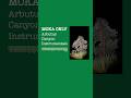 MOKA ONLY  Arbutus Canyon Instrumentals