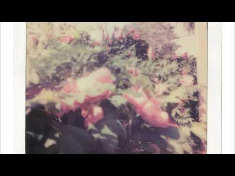 letting go - nothing,nowhere/skele/guardin type beat (prod. metlast x pekarot) [free]