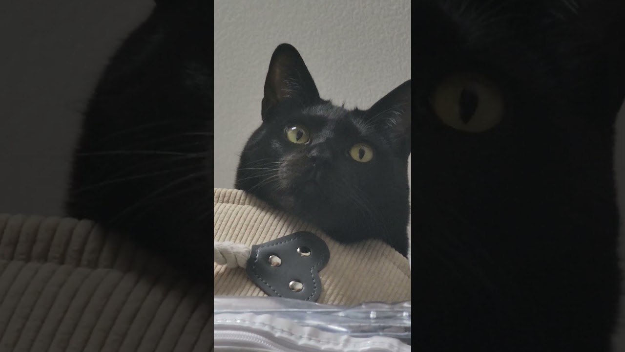 どこ見てんねん