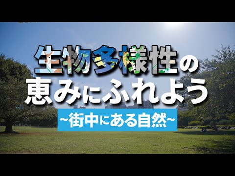 生物多様性の推進 自然と動物