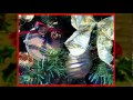 Christmas Tree by Jeff Meegan