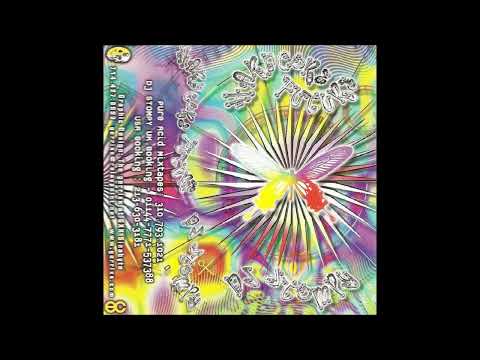 DJ Stompy - Hardcore Future (1999)