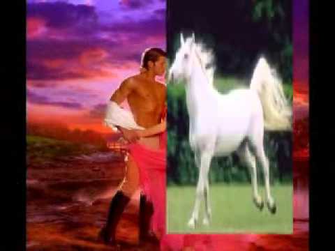 Dankó Szilvia - Nem kell nekem soha