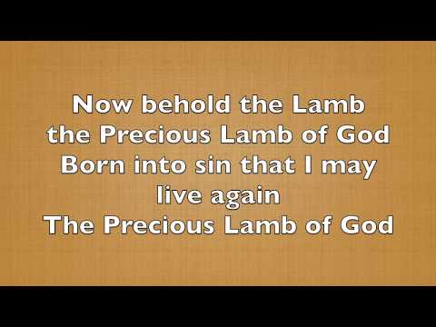 Now Behold the Lamb (Condensed) Lyric Video