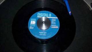 Billy Jean Riddim Mix - Ft. Shinehead Sizzla &amp; Garnett Silk - Dubwise Selecta
