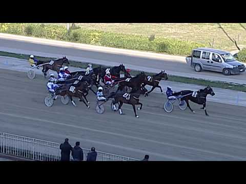 Aversa trotto 8 Febbraio 2020 - 3° Corsa