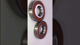 NSK 6304du Bearing