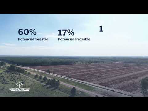 ¡Oportunidad única en Saladas, Corrientes!