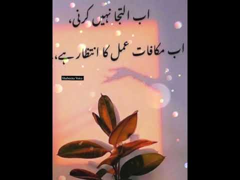 Islamic Quotes#shorts#shaheena voice