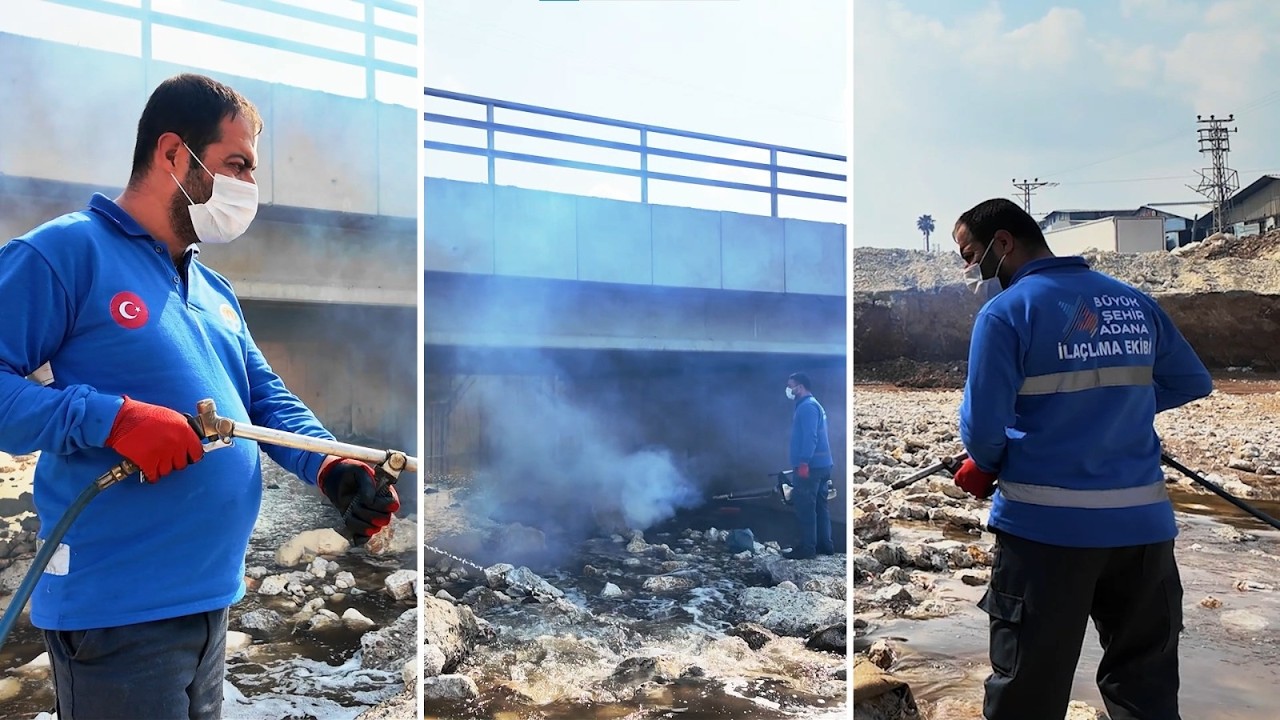 Sinek ve Haşerelere Karşı Mücadelemiz Aralıksız Devam Ediyor 🦟🚫