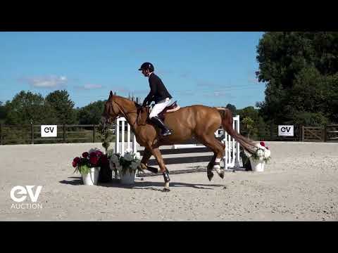 Kempton des M ALLURES