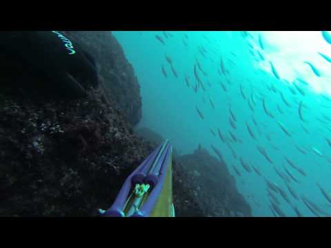 Patxinsub verano 2013