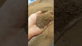 Download lagu Cara Menghaluskan Kohe Kambing Secara Manual Untuk Dijadikan Pupuk Organik #shorts mp3